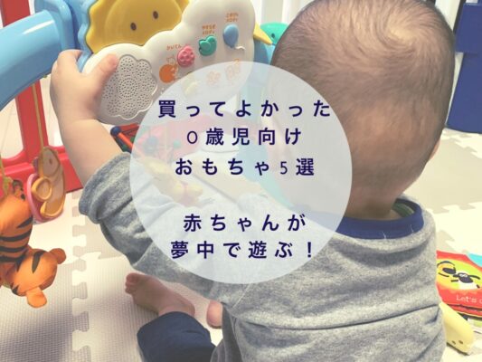 買ってよかった0歳向けおもちゃ5選 赤ちゃんが夢中で遊ぶ 転妻まめもちホンネ育児